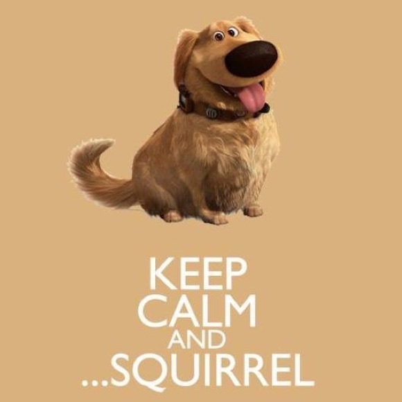 Meet Your Posher, Karri - Picture 16 of 17